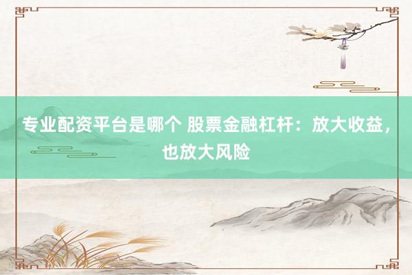 专业配资平台是哪个 股票金融杠杆：放大收益，也放大风险
