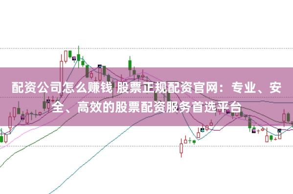 配资公司怎么赚钱 股票正规配资官网：专业、安全、高效的股票配资服务首选平台