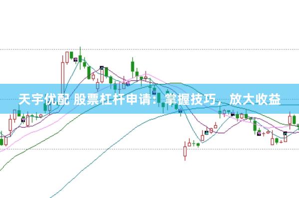 天宇优配 股票杠杆申请：掌握技巧，放大收益
