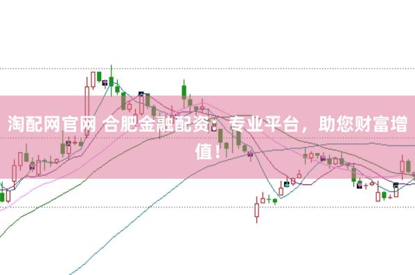 淘配网官网 合肥金融配资：专业平台，助您财富增值！