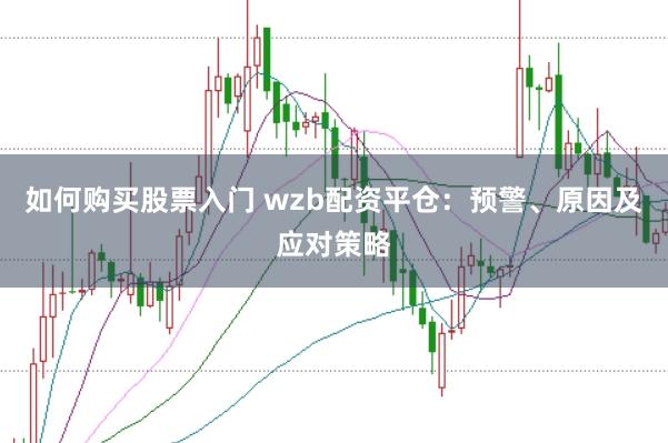 如何购买股票入门 wzb配资平仓：预警、原因及应对策略