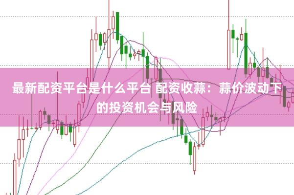 最新配资平台是什么平台 配资收蒜：蒜价波动下的投资机会与风险