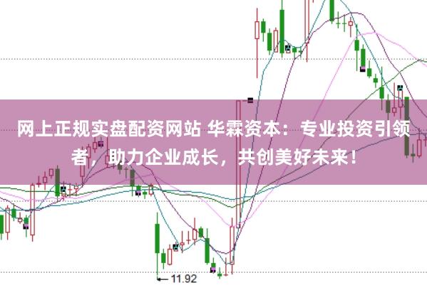 网上正规实盘配资网站 华霖资本：专业投资引领者，助力企业成长，共创美好未来！