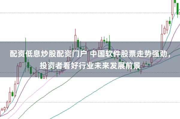 配资低息炒股配资门户 中国软件股票走势强劲，投资者看好行业未来发展前景