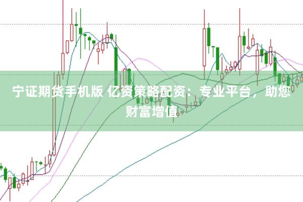 宁证期货手机版 亿资策略配资：专业平台，助您财富增值