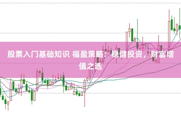 股票入门基础知识 福盈策略：稳健投资，财富增值之选