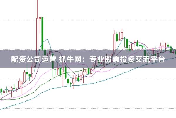 配资公司运营 抓牛网：专业股票投资交流平台