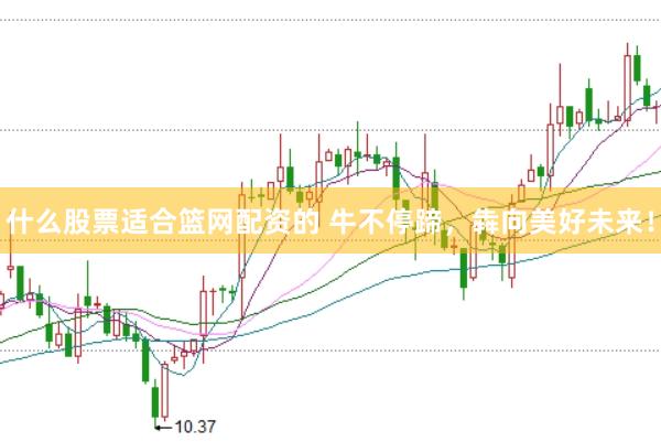 什么股票适合篮网配资的 牛不停蹄，犇向美好未来！