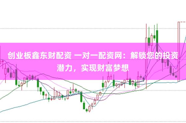 创业板鑫东财配资 一对一配资网：解锁您的投资潜力，实现财富梦想