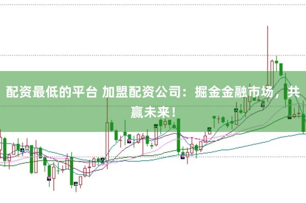 配资最低的平台 加盟配资公司：掘金金融市场，共赢未来！