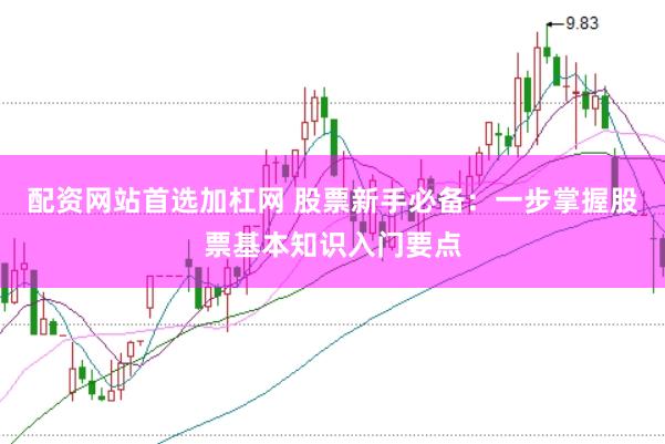 配资网站首选加杠网 股票新手必备：一步掌握股票基本知识入门要点