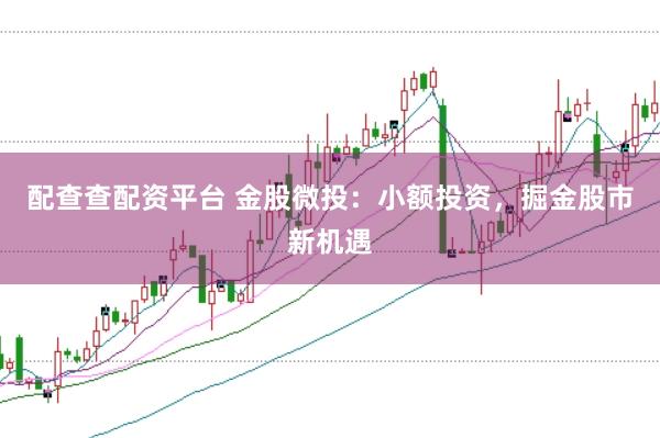 配查查配资平台 金股微投：小额投资，掘金股市新机遇