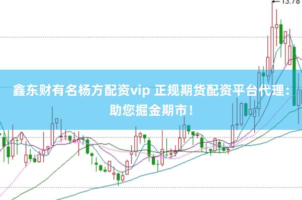 鑫东财有名杨方配资vip 正规期货配资平台代理：助您掘金期市！