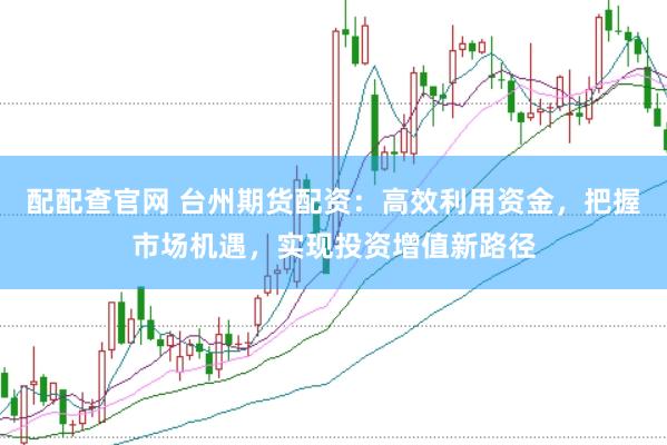 配配查官网 台州期货配资：高效利用资金，把握市场机遇，实现投资增值新路径