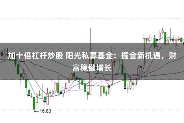 加十倍杠杆炒股 阳光私募基金：掘金新机遇，财富稳健增长