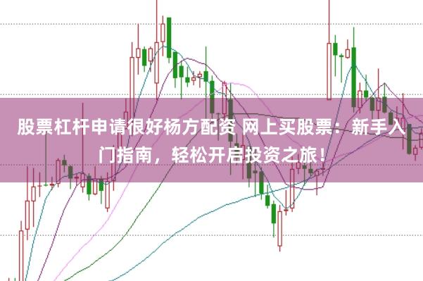 股票杠杆申请很好杨方配资 网上买股票:新手入门指南,轻松开启投资之旅!