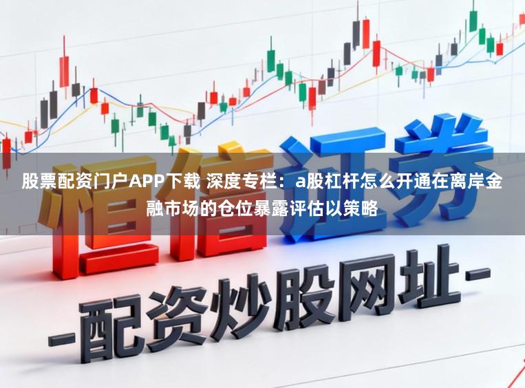 股票配资门户APP下载 深度专栏:a股杠杆怎么开通在离岸金融市场的仓位暴露评估以策略