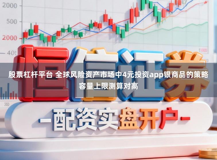 股票杠杆平台 全球风险资产市场中4元投资app银商品的策略容量上限测算对高