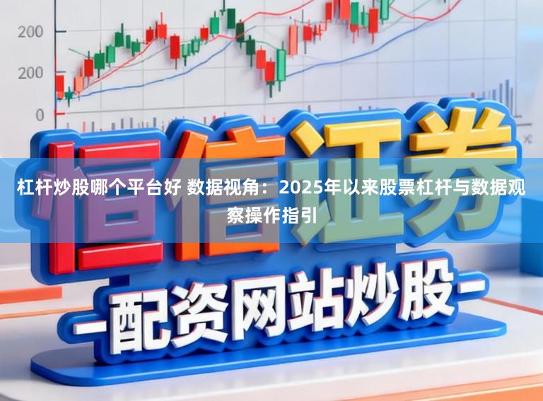 杠杆炒股哪个平台好 数据视角：2025年以来股票杠杆与数据观察操作指引